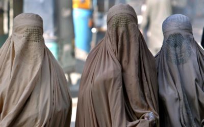 FIDS-Stellungnahme zur Burkainitiative