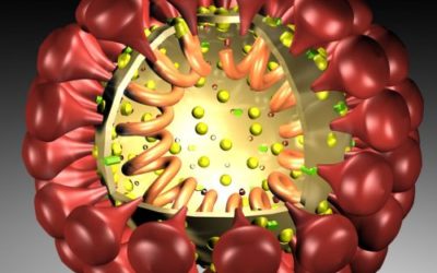 COVID-19-Epidemie: Bundesrat erklärt «ausserordentliche Lage»