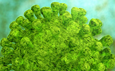 Der VAM-Familientag am 8. März 2020 findet wie geplant statt!